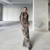Mesh Print See Through Maxi Dress DLSF-23D33779