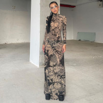 Print Long Sleeve Mesh Slim Maxi Dress GZJQ-K23D33779
