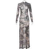 Print Long Sleeve Mesh Slim Maxi Dress GZJQ-K23D33779