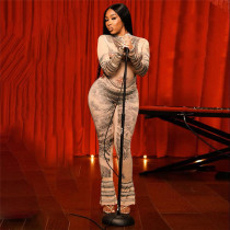 Long Sleeve Print Mesh Tight Jumpsuit GZJQ-K23Q38228