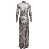 Print Long Sleeve Mesh Slim Maxi Dress GZJQ-K23D33779