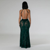 Lace Halter Backless Slim Maxi Dress CYA-901214