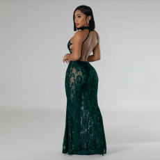 Lace Halter Backless Slim Maxi Dress CYA-901214