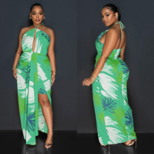 Backless Print Tie Up Halter Maxi Dress BY-6921