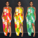 Backless Print Tie Up Halter Maxi Dress BY-6921