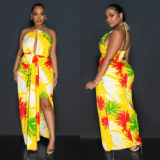 Backless Print Tie Up Halter Maxi Dress BY-6921