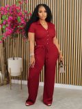 Solid Color Pleated V Neck Two Piece Pants Set AIL-275