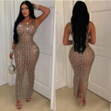 Sexy Mesh See Through Maxi Dress BY-6942