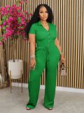 Solid Color Pleated V Neck Two Piece Pants Set AIL-275