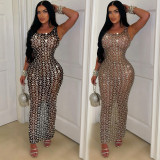 Sexy Mesh See Through Maxi Dress BY-6942