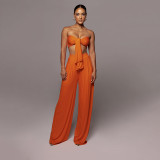 Solid Color Tie Up Wrap Two Piece Pants Set SSNF-211109