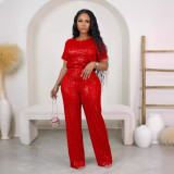 Fashion Sequin Short Sleeve Pants 2 Piece Set OD-8614