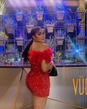 Sequin Feather Splicing Tube Tops Dress NY-3176