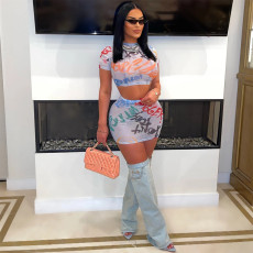 Print Short Sleeve Crop Top Two Piece Skirts Set CYA-901233