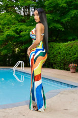 Multicolor Print Sleeveless Maxi Dress XHXF-411