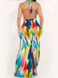 Print Halter Tie Up Backless Maxi Dress ZDF-31337