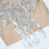 Sequin See Through Tassel Mini Dress CYA-901209