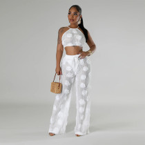 Solid Color Tie Up See Through Two Piece Pants Set CYA-901294
