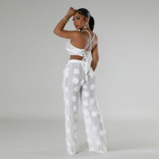 Solid Color Tie Up See Through Two Piece Pants Set CYA-901294