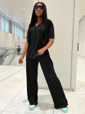 Loose Pleated Shirts Wide Leg Pants Two Piece Set MIL-126