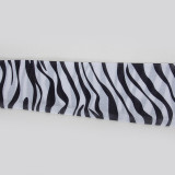 Stripe Print Long Sleeve Pants Two Piece Set GAXB-A448ST