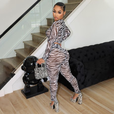 Stripe Print Long Sleeve Pants Two Piece Set GAXB-A448ST