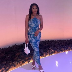 Sleeveless Print Halter Slim Maxi Dress GAXB-A438DS