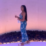 Sleeveless Print Halter Slim Maxi Dress GAXB-A438DS