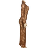 Solid Long Sleeve Mesh Long Hollow Out Dress GAXB-A283DS