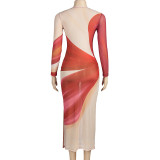 Sexy Mesh Color Block Print Maxi Dress GAXB-A401DS
