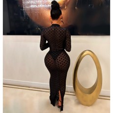 Solid Long Sleeve Mesh Long Hollow Out Dress GAXB-A283DS