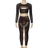 Long Sleeve Mesh Patchwork Pants Suit GAXB-A318ST