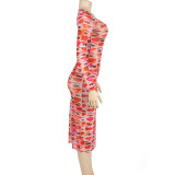 See Through Mesh Print Long Dress GAXB-A199DS