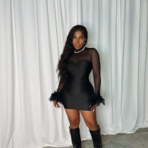 Mesh Patchwork Feather Mini Dress GAXB-A321DS