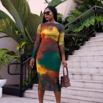 Print Long Sleeve Slim Midi Dress GAXB-A201DS