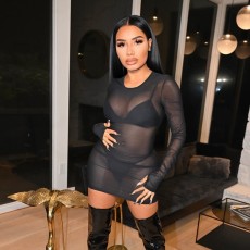 Mesh Long Sleeve Mini Dress GAXB-A245DS