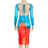 Tie Up Long Sleeve Print Maxi Dress GAXB-A200DS