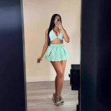 Fashion Casual Lapel Top Short Skirt Two Piece Set XMCS-CS20242257