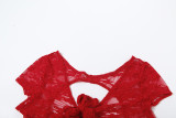 Sexy Tight Hollow Out Backless Lace Bodysuit XEF-50464
