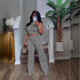 Sleeveless Print Wide Leg Pants 2 Piece Set SFY-2781