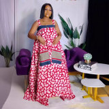 Sling Printed Big Swing Maxi Dress NY-10825
