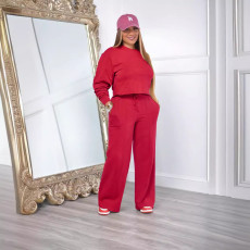 Solid Long Sleeve Pullover And Pants Two Piece Set ME-8525