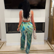 Print Tassel Casual Staight Pants ZSD-0682