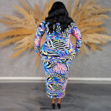 Plus Size One Shoulder Print Long Sleeve Maxi Dress GDAM-218509