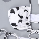 Sexy Print Tie Up Backless Bikinis 2 pcs Swimsuit DYSC-DY4106122
