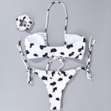Sexy Print Tie Up Backless Bikinis 2 pcs Swimsuit DYSC-DY4106122