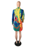 Plus Size Long Sleeve Print loose Shirt Dress LS-5079
