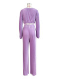 Casual Pleated Solid Color Loose Wide Leg Pants Set CH-24048