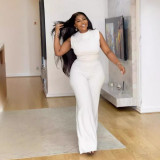 Solid Color Sleeveless Pleated Wide Leg Jumpsuit NY-10853