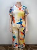 Plus Size Short Sleeve Loose Print Two PIece Pants Set GAWE-6200